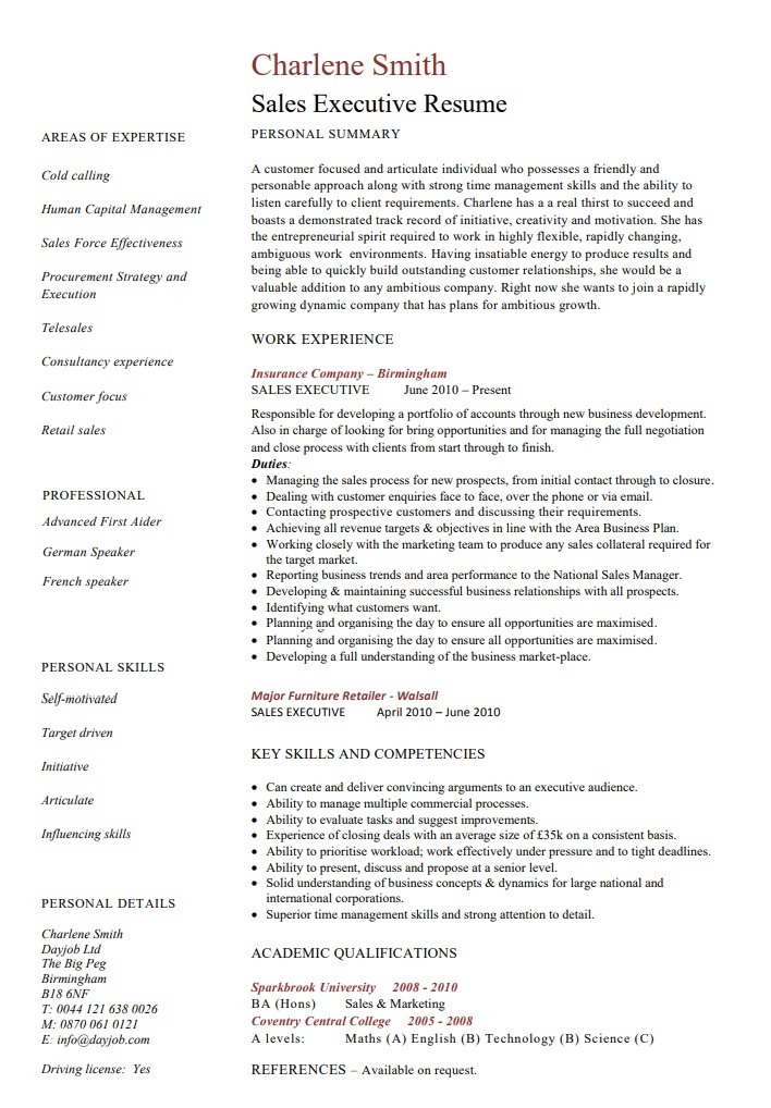 Sales Executive Resume Templates 10 Free Word Excel PDF Formats 